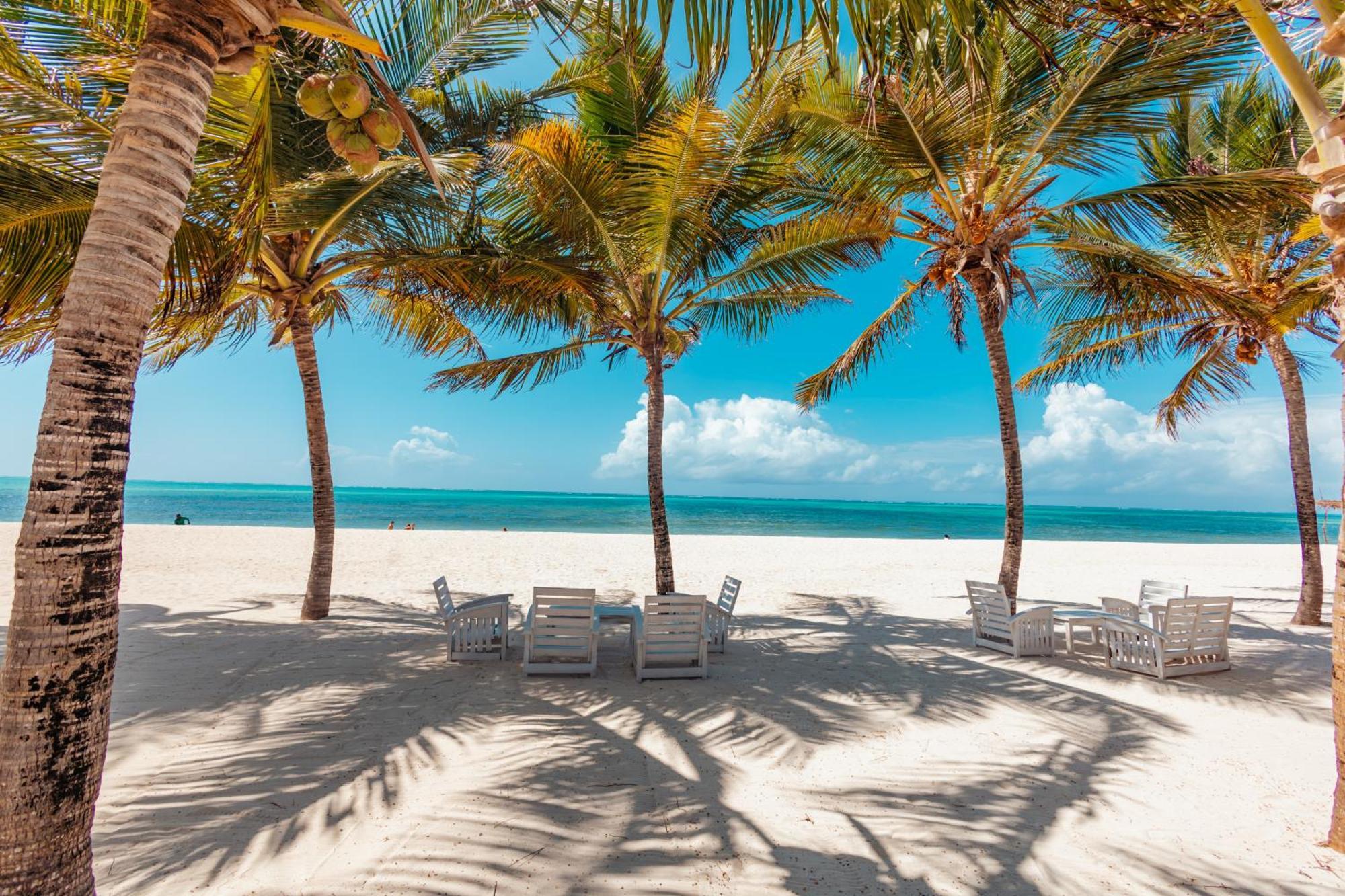 Twiga Beach Resort Ватаму Экстерьер фото