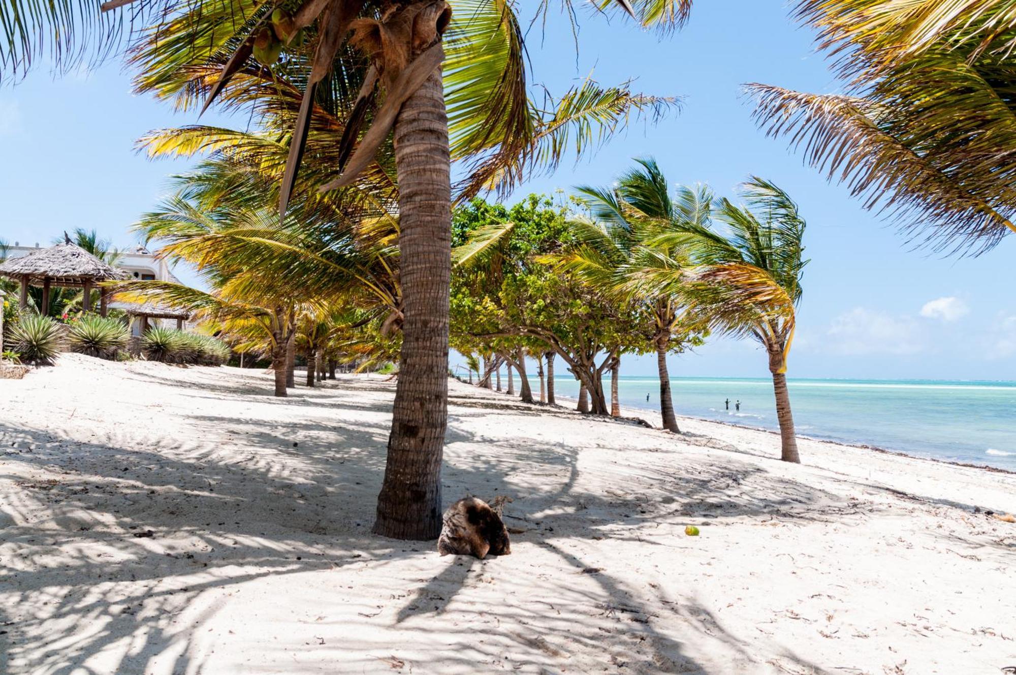 Twiga Beach Resort Ватаму Экстерьер фото
