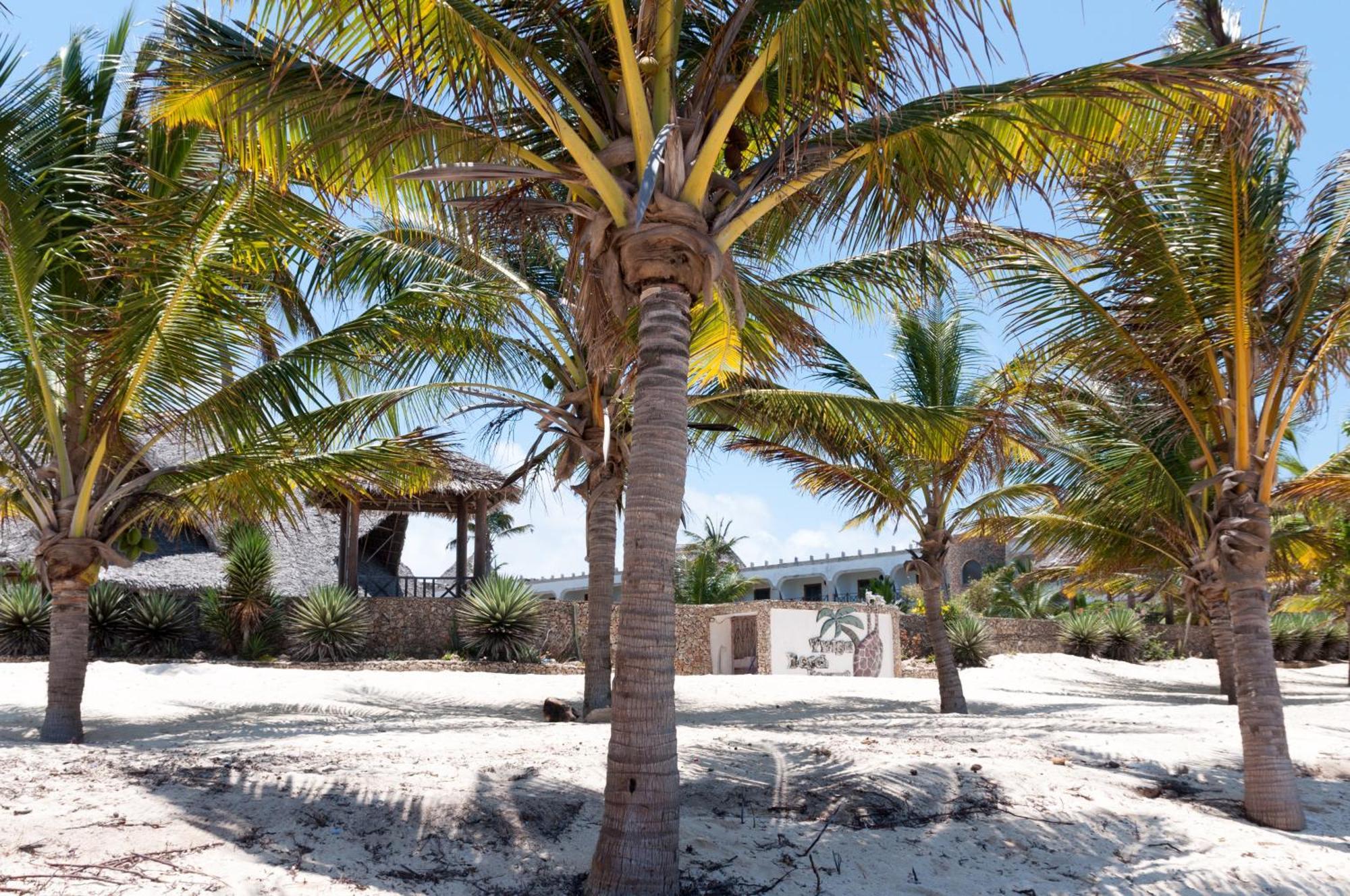 Twiga Beach Resort Ватаму Экстерьер фото